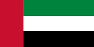 vae_flag_straight
